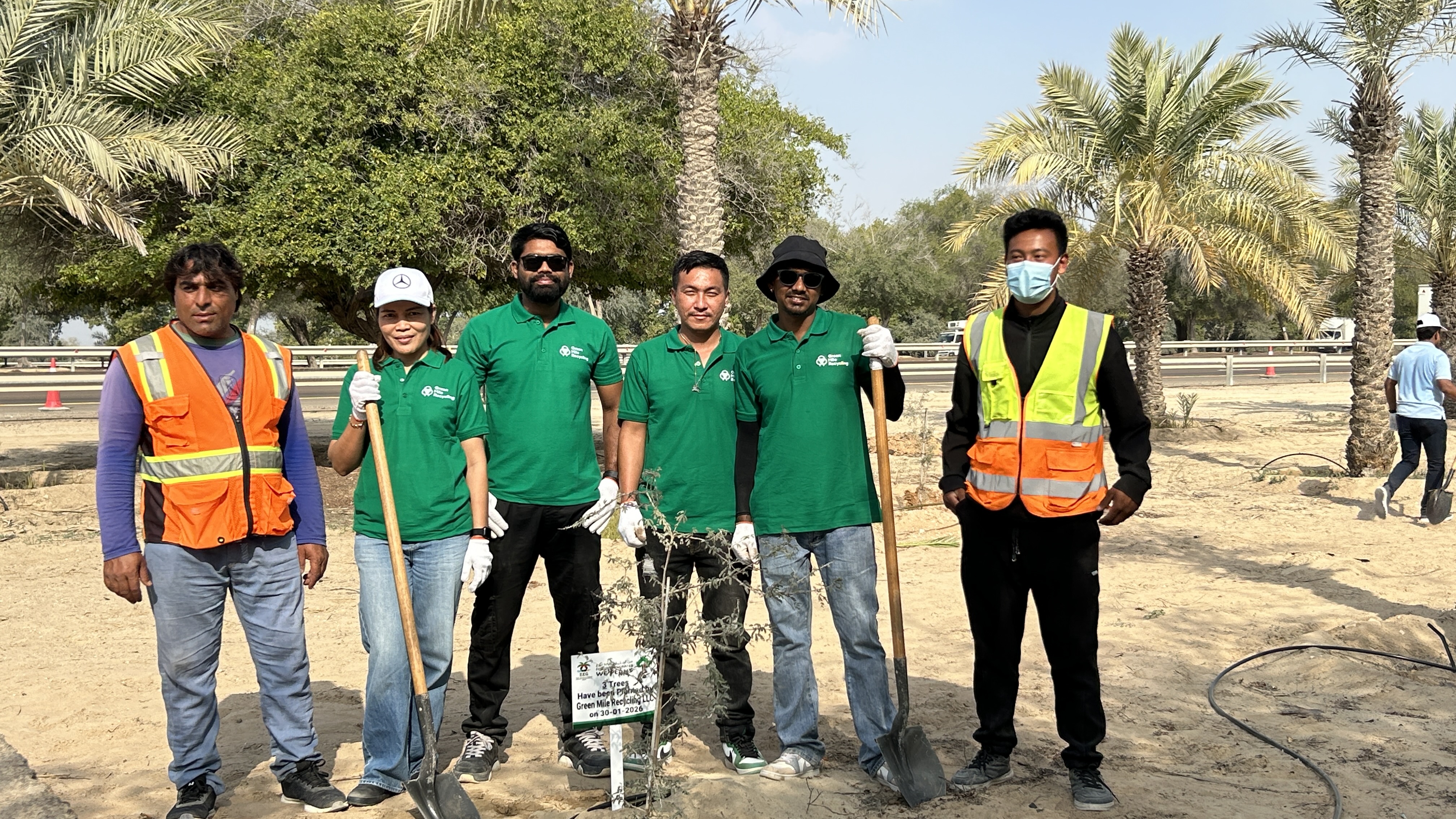 Tree Planting 5